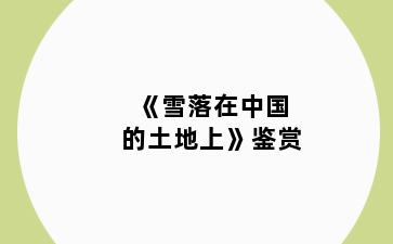 《雪落在中国的土地上》鉴赏