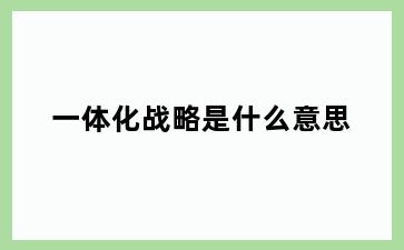 一体化战略是什么意思