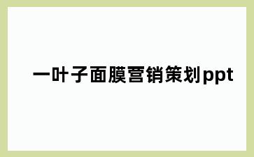 一叶子面膜营销策划ppt