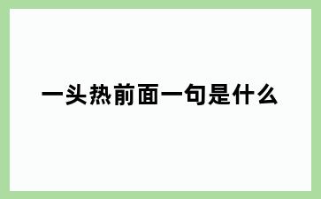 一头热前面一句是什么