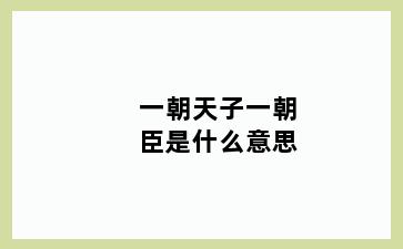 一朝天子一朝臣是什么意思