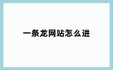 一条龙网站怎么进