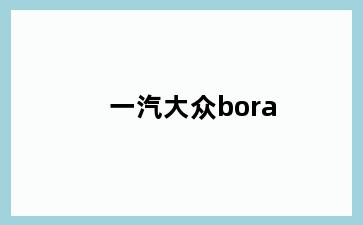一汽大众bora