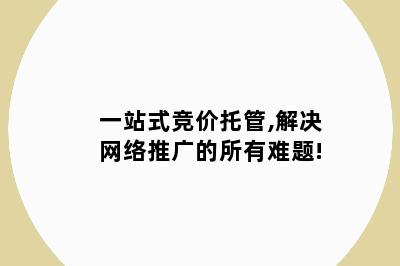 一站式竞价托管,解决网络推广的所有难题!