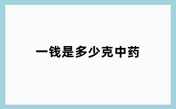 一钱是多少克中药