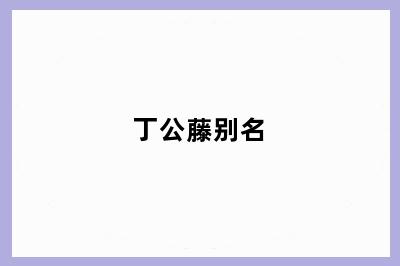 丁公藤别名