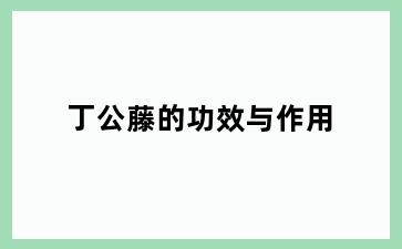 丁公藤的功效与作用