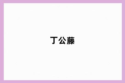 丁公藤
