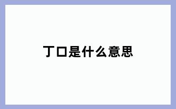 丁口是什么意思