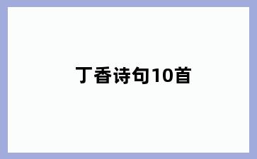 丁香诗句10首