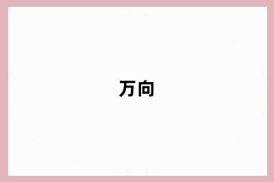 万向