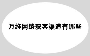 万维网络获客渠道有哪些