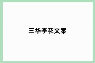 三华李花文案