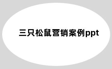 三只松鼠营销案例ppt
