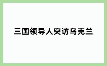 三国领导人突访乌克兰