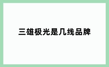 三雄极光是几线品牌