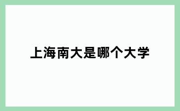 上海南大是哪个大学