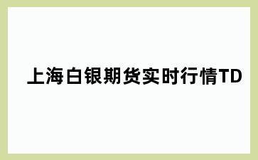 上海白银期货实时行情TD