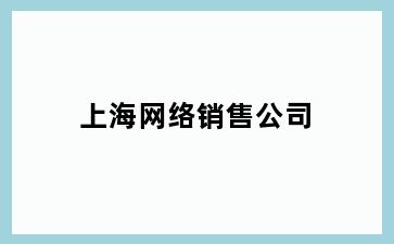 网络销售公司