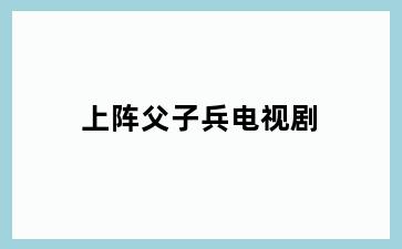 上阵父子兵电视剧
