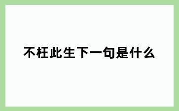 不枉此生下一句是什么