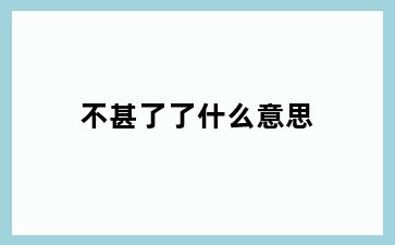 不甚了了什么意思
