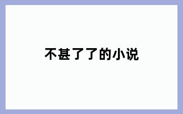 不甚了了的小说