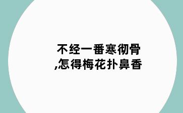 不经一番寒彻骨,怎得梅花扑鼻香
