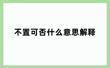 不置可否什么意思解释