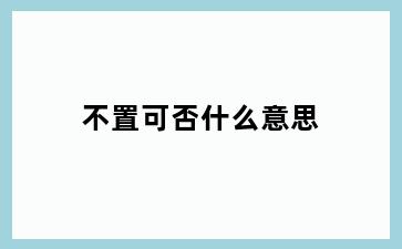 不置可否什么意思