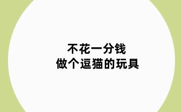 不花一分钱 做个逗猫的玩具