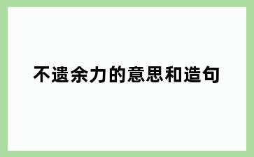 不遗余力的意思和造句