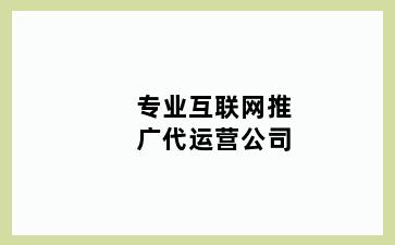 专业互联网推广代运营公司