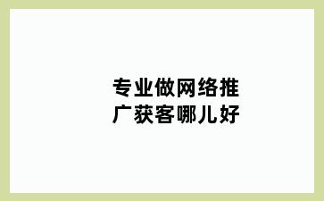 专业做网络推广获客哪儿好