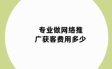 专业做网络推广获客费用多少