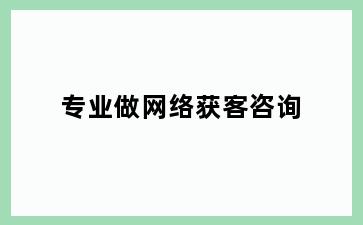 专业做网络获客咨询