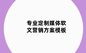 专业定制媒体软文营销方案模板