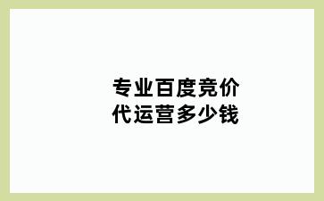 专业百度竞价代运营多少钱