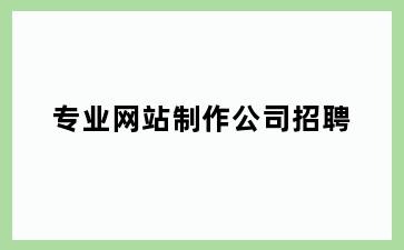 专业网站制作公司招聘