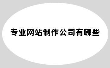 专业网站制作公司有哪些