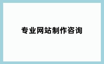 专业网站制作咨询