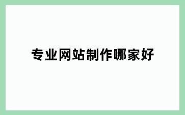 专业网站制作哪家好
