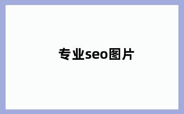 专业seo图片