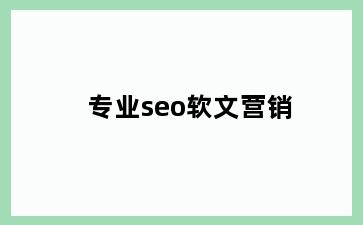 专业seo软文营销