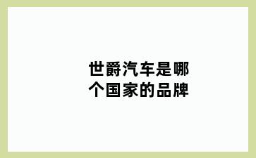 世爵汽车是哪个国家的品牌