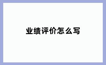 业绩评价怎么写