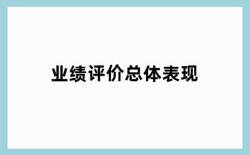业绩评价总体表现