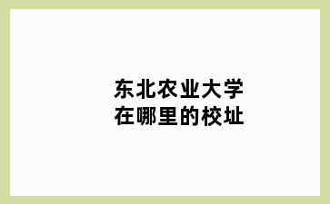 东北农业大学在哪里的校址