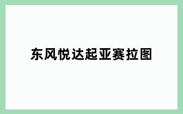 东风悦达起亚赛拉图