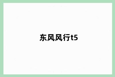 东风风行t5